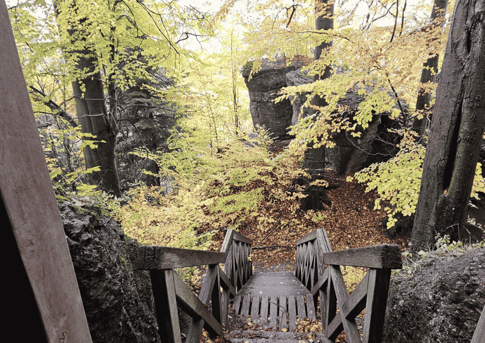 Zřicenina hradu Brecštejn